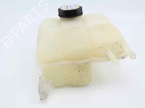 Expansion tank FORD FOCUS II (DA_, HCP, DP)  | BP19224202C120 