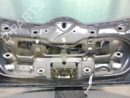 Tailgate RENAULT MEGANE II (BM0/1_, CM0/1_) 1.5 dCi (BM0F, BM0T, BM2B, CM0F, CM0T) | BP19190483C6 