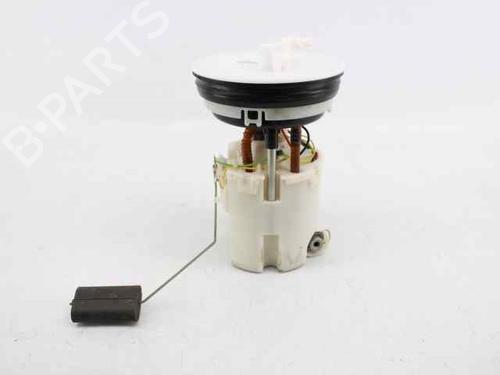 Fuel pump FORD FIESTA VI (CB1, CCN)  | BP19226256M76