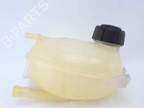 Ekpansionstank DACIA SANDERO II TCe 90 (B8M1, B8MA, B8AC) | BP38100874C120 - Image 3