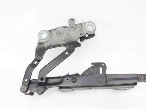 Hinge/Door check strap BMW 3 (F30, F80) 320 d | BP26450449C146 