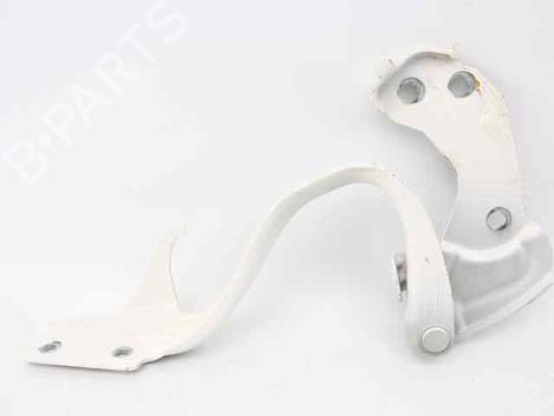 Hinge/Door check strap FIAT 500 (312_) 1.2 (312AXA1A) | BP29986849C146