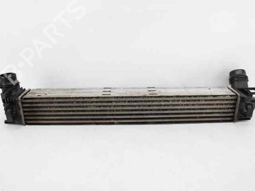 Intercooler RENAULT MEGANE III Coupe (DZ0/1_) 1.5 dCi (DZ09, DZ0D, DZ1F, DZ1G, DZ14, DZ29) | BP19242615M30