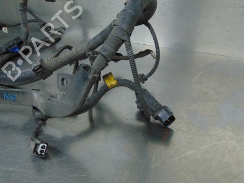 Wiring harness HYUNDAI GETZ (TB)  | BP19199068E16 