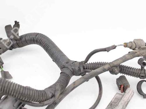 Wiring harness FORD FOCUS II (DA_, HCP, DP) 1.6 | BP19224142E16 