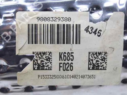 Particulate filter PEUGEOT 2008 I (CU_) 1.6 HDi | BP29320719M81 