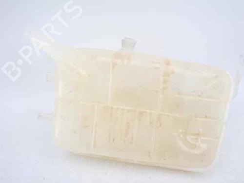 Expansion tank RENAULT GRAND SCÉNIC III (JZ0/1_) 1.5 dCi (JZ09, JZ0D, JZ10, JZ14, JZ1G, JZ29, JZ2C) | BP19233712C120 