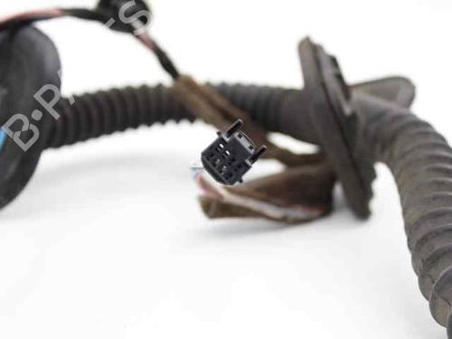 Wiring harness RENAULT LAGUNA III (BT0/1) 1.5 dCi (BT00, BT0A, BT0T, BT1J) | BP19212640E16 
