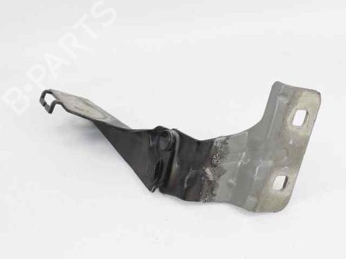 Hinge/Door check strap RENAULT MEGANE II Estate (KM0/1_) 1.5 dCi (KM16, KM1E) | BP19204299C146 