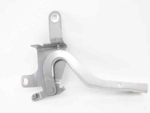Hinge/Door check strap RENAULT CLIO IV (BH_) 0.9 TCe 90 (BHNF, BHMA, BHMH, BHJK, BHJR) | BP29986929C146