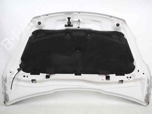 Hood PEUGEOT 208 I (CA_, CC_) 1.6 HDi | BP29320666C1 