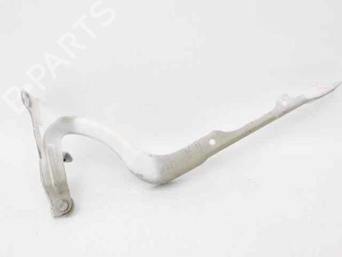 Hinge/Door check strap PEUGEOT 208 I (CA_, CC_) 1.6 HDi | BP29320806C146 