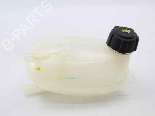 Vaso de expansão DACIA JOGGER (RK_) 1.0 TCe 90 ECO-G (RKMT) (91 hp) 31366939