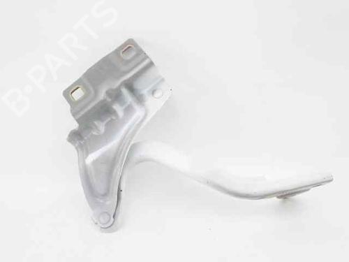 Hinge/Door check strap RENAULT MEGANE IV Grandtour (K9A/M/N_) 1.5 dCi 110 | BP29143723C146 