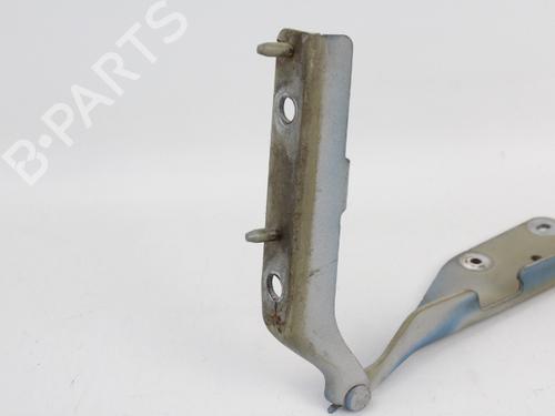 Hinge/Door check strap CITROËN C3 I (FC_, FN_) 1.4 HDi | BP19204563C146 