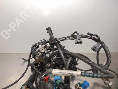 Wiring harness FORD FOCUS II Turnier (DA_, FFS, DS) 1.4 | BP19195788E16 