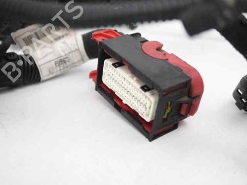Wiring harness FORD KA (RU8)  | BP19244041E16 