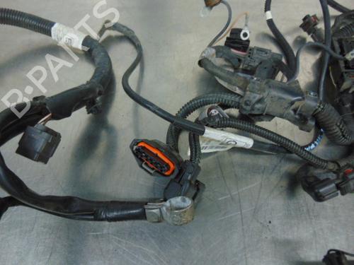 Wiring harness OPEL AGILA (A) (H00) 1.0 (F68) | BP19194298E16 