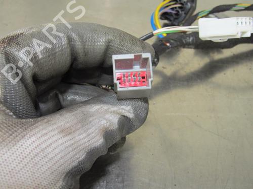 Wiring harness FORD FIESTA VI (CB1, CCN)  | BP19196147E16 