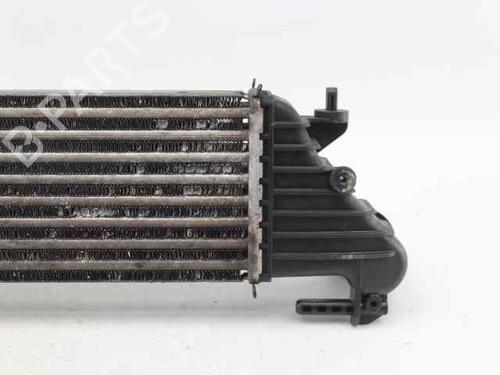 Intercooler FIAT 500L (351_, 352_) 1.6 D Multijet (199LYD1B) | BP33059958M30  - Image 7