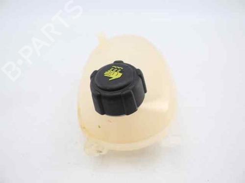 Expansion tank RENAULT CAPTUR II (HF_)  | BP19228618C120 