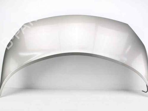 Used Hood RENAULT SCÉNIC II (JM0/1_) 1.4 (JM0B, JM0H, JM1A) (98 hp) 19238411