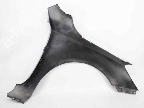 Left front fenders KIA CEE'D Hatchback (ED) 1.6 CRDi 115 | BP22439631C41 