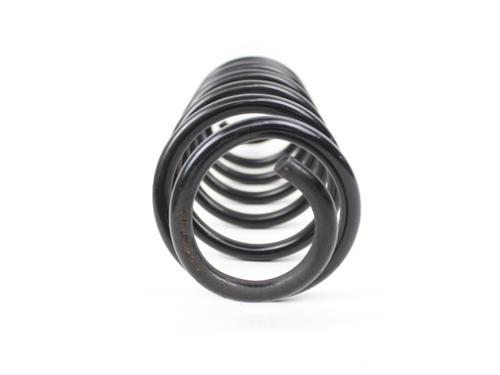 Shock absorber spring FORD FIESTA VI (CB1, CCN)  | BP19214844C152 