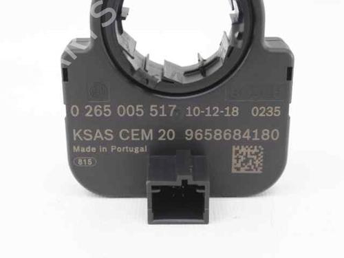 Module électronique CITROËN C4 Picasso I MPV (UD_) 1.6 HDi 110 | BP29873118M83