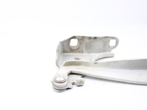 Hinge/Door check strap FIAT GRANDE PUNTO (199_)  | BP19213511C146 