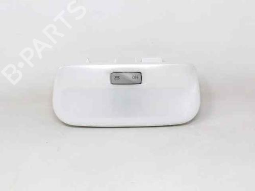 Used Interior roof light RENAULT SCÉNIC III (JZ0/1_) 1.5 dCi (110 hp) 19203195