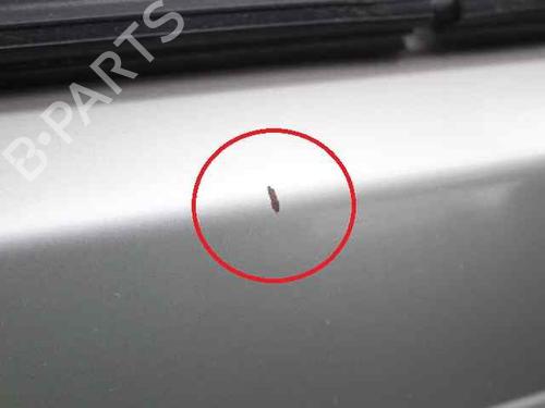 Tailgate JEEP GRAND CHEROKEE II (WJ, WG) 3.1 TD 4x4 | BP19225522C6 