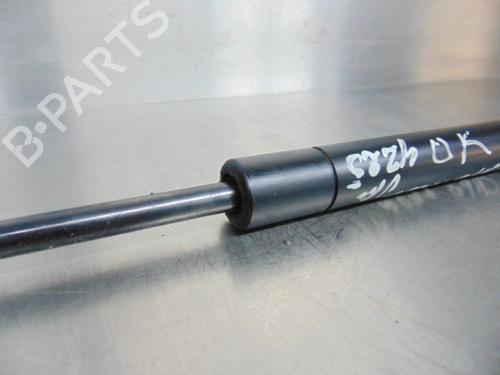 Hood lift support SEAT LEON (1M1)  | BP19191855C139 
