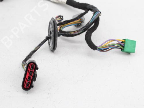Wiring harness FORD FIESTA VI (CB1, CCN)  | BP19208525E16 