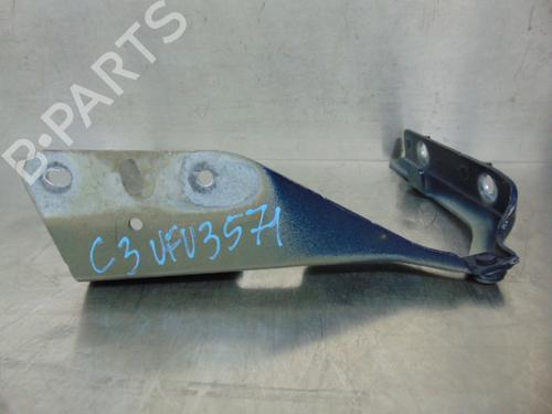 Hinge/Door check strap CITROËN C3 I (FC_, FN_) 1.1 i | BP19195321C146 