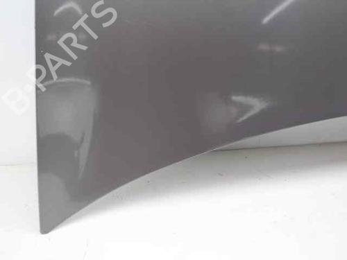 Hood RENAULT MEGANE II (BM0/1_, CM0/1_) 1.5 dCi (BM0F, BM0T, BM2B, CM0F, CM0T) | BP19226453C1 