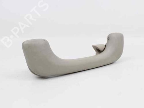 Interior roof handle RENAULT MEGANE II Estate (KM0/1_) 1.5 dCi (KM0F, KM0T, KM2B) | BP19206851I35 