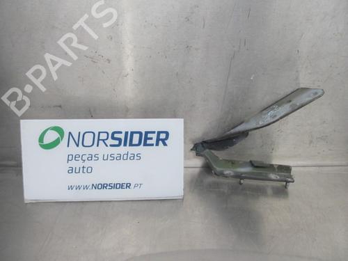 Used Hinge/Door check strap CITROËN C3 I (FC_, FN_) 1.1 i (60 hp) 19194910