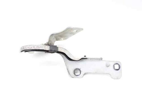 Hinge/Door check strap RENAULT CLIO III (BR0/1, CR0/1) 1.5 dCi | BP19210757C146 