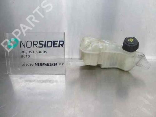 Used Expansion tank RENAULT SCÉNIC II (JM0/1_) 1.5 dCi (JM1E, JM16) (106 hp) 19192346