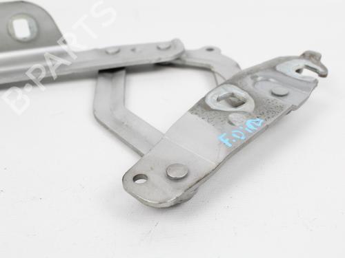 Hinge/Door check strap FORD FIESTA VI (CB1, CCN)  | BP19208551C146 