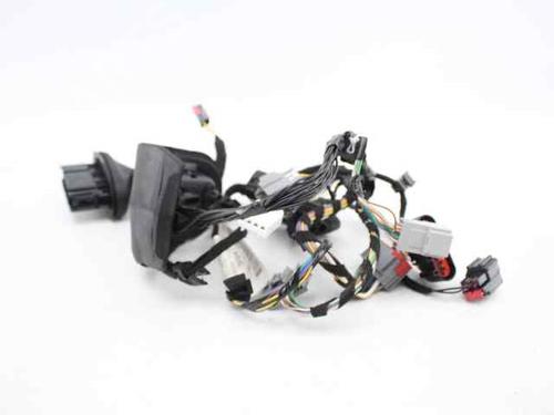 Wiring harness FORD FIESTA VI (CB1, CCN)  | BP19231842E16 