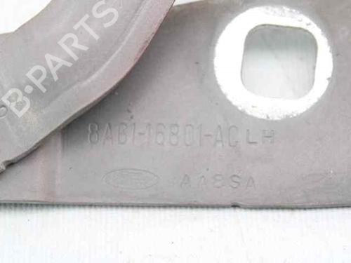Hinge/Door check strap FORD FIESTA VI (CB1, CCN)  | BP19226230C146 