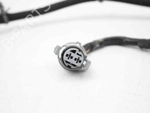 Wiring harness NISSAN QASHQAI / QASHQAI +2 I (J10, NJ10, JJ10E)  | BP19227865E16 