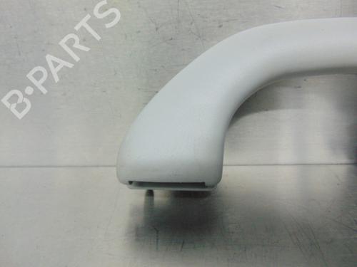 Interior roof handle VW GOLF IV (1J1)  | BP19193795I35 