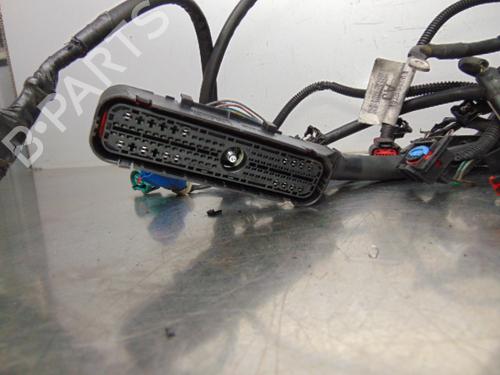 Wiring harness FORD FOCUS II Turnier (DA_, FFS, DS) 1.4 | BP19195788E16 