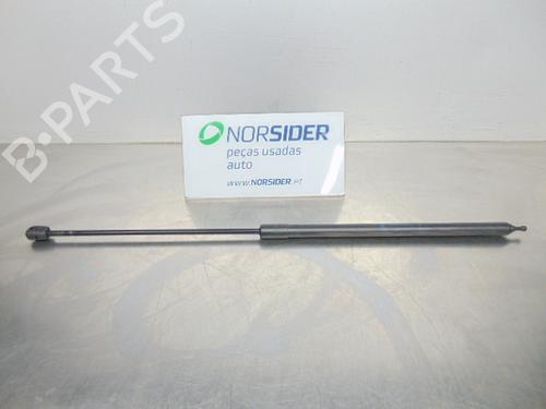 Used Hood lift support RENAULT MEGANE III Coupe (DZ0/1_) 1.5 dCi (DZ0B) (106 hp) 19199698