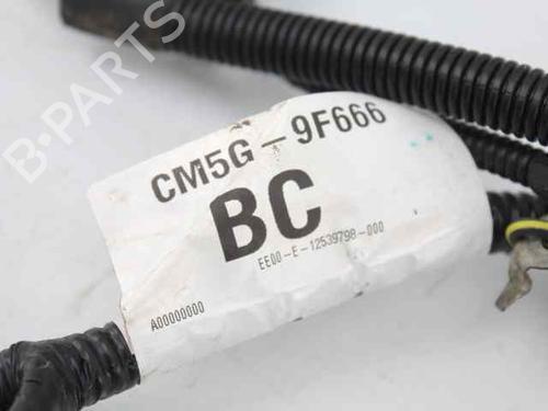 Ledningsnet FORD FIESTA VI (CB1, CCN) 1.0 EcoBoost | BP28485833E16 