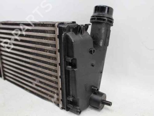 Intercooler DACIA SANDERO III 1.0 TCe LPG | BP33894495M30  - Image 6