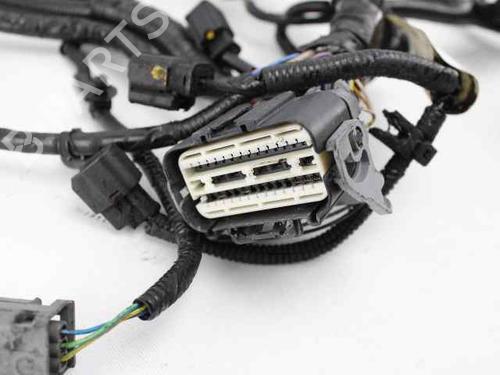 Wiring harness FORD FIESTA VI (CB1, CCN) 1.5 TDCi | BP19240856E16 